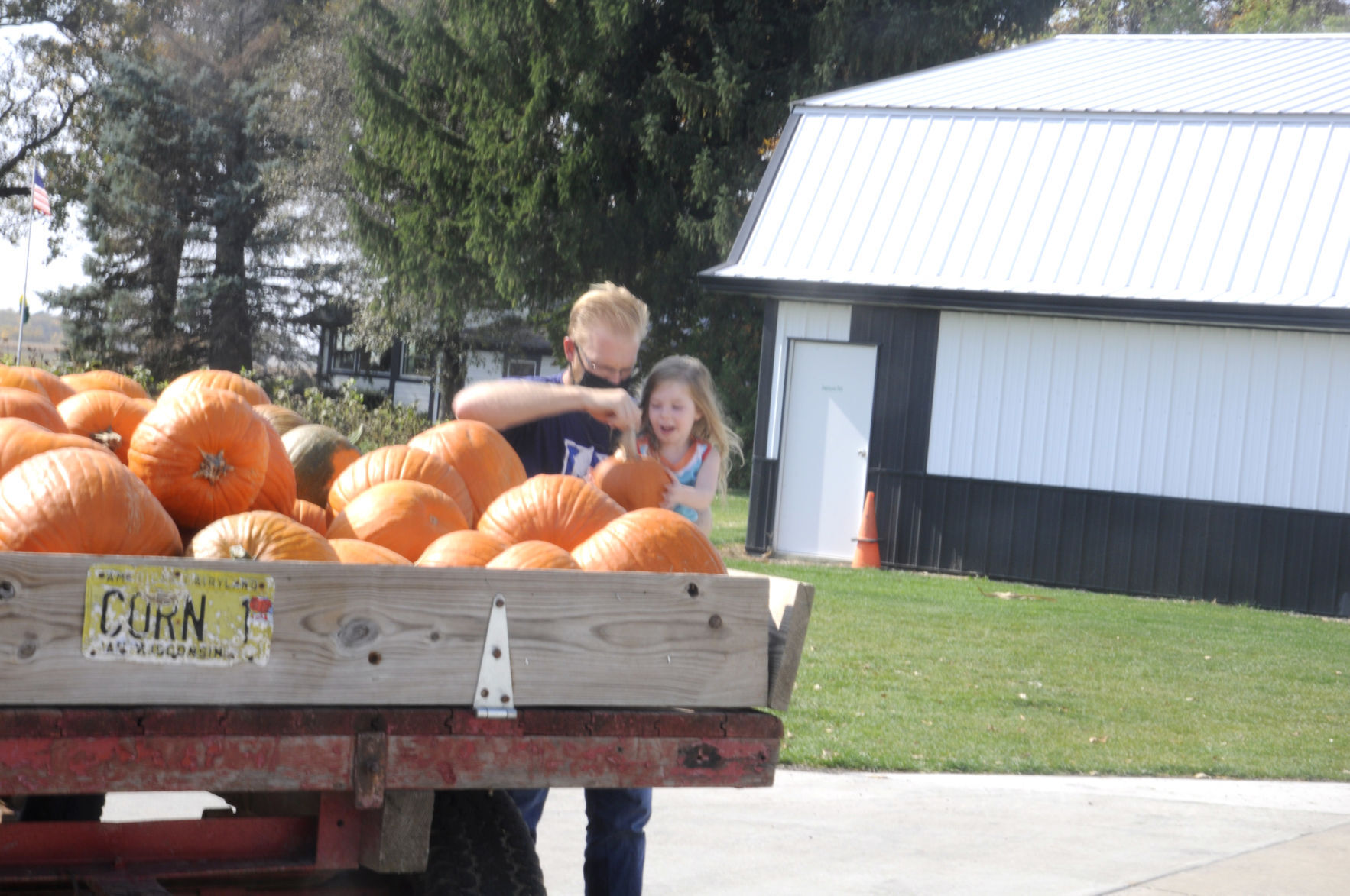 Pearce's Pumpkin Fest